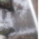 Fenomena Hujan Es Di Desa Kalapagunung, Kecamatan Kramatmulya, Kabupaten Kuningan Hebohkan Warga